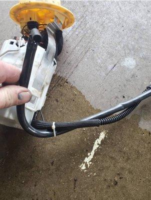 Antero Foreign Automotive