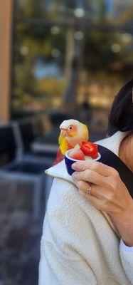 Gina's Kitchen +Catering