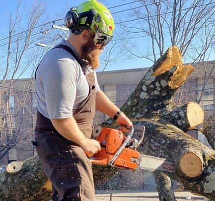 JC's Tree & Landscape Service