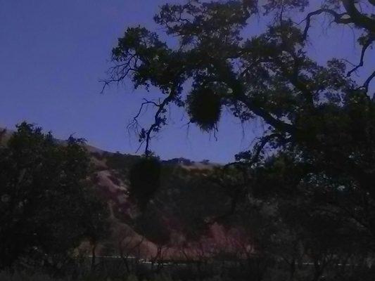 California Bank & Trust