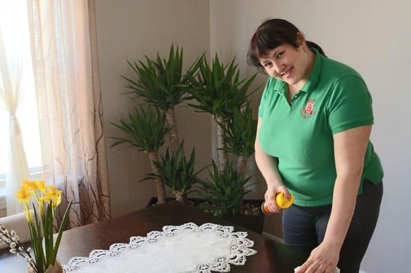 SHM Cleaning