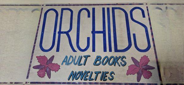 Orchid's