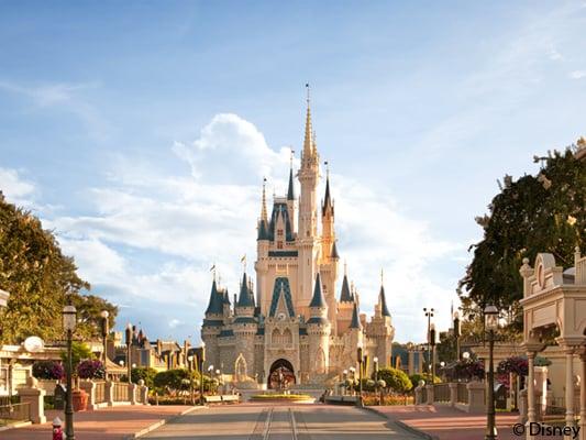 Local Disney Charters, by Boscov's Travel.