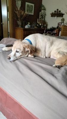 Cooper Custer sends his Love.