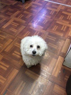 Clay loves to play with customers