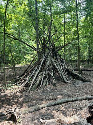 Timber Creek Park