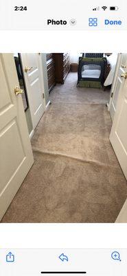 Riley's Carpet Service