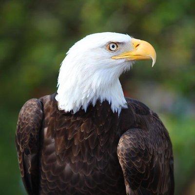 Bozeman Concierge Services