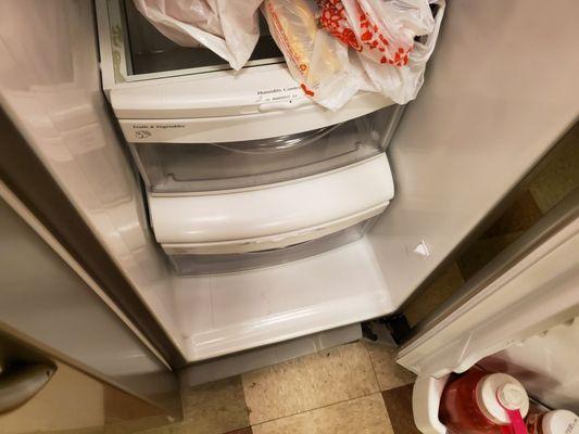 MVP Janitorial Services