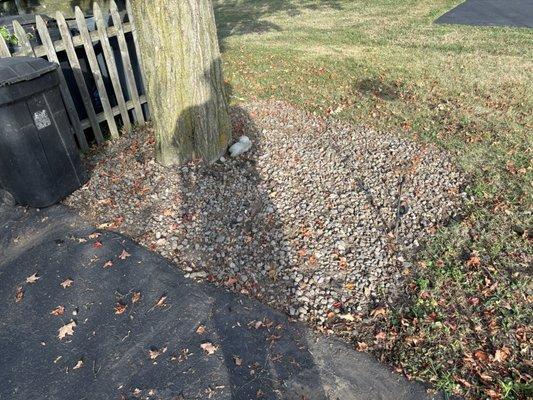 LaTray’s lawn care and property management