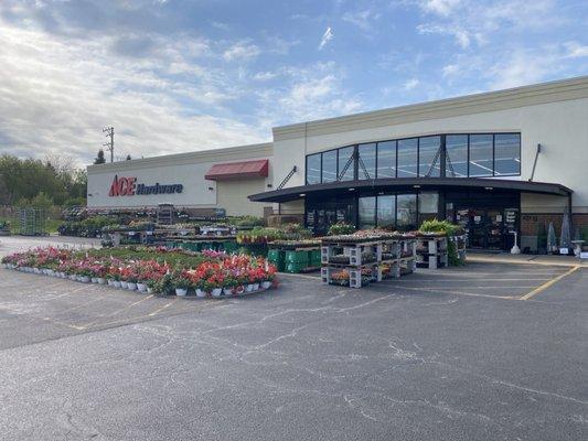 Ace Hardware
