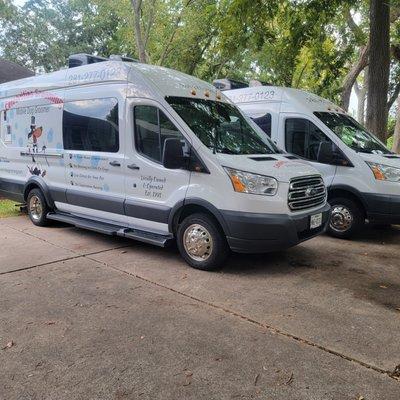 Celebrities Grooming