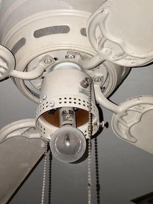 TCI Handyman and Window Cleaning Service