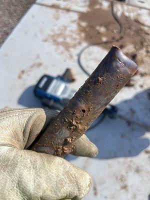 Orange Crew Landscaping