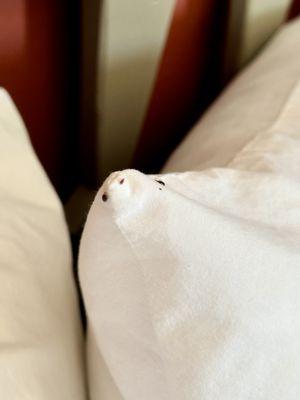 Residence Inn by Marriott Santa Fe