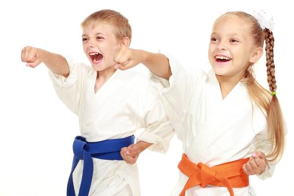 Chris Welbon Karate Clubs