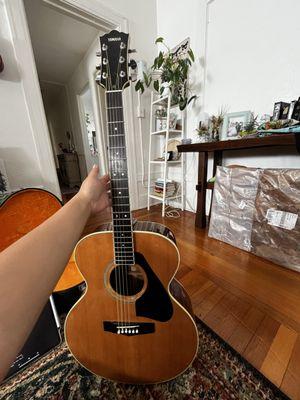 The Starving Musician