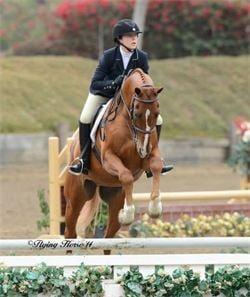 Pacific Cove Stables