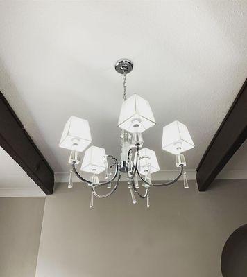 The Frog Electrician