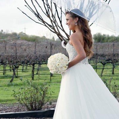 Bay Area Media Masters