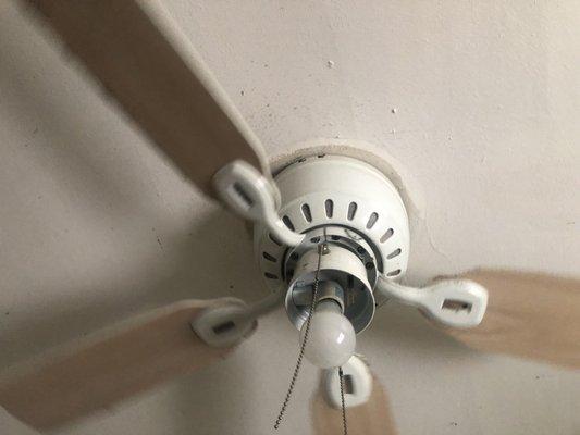 McHale's Virtual Enterprise