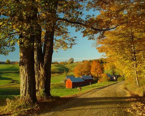 A&B Insurance Group, LLC