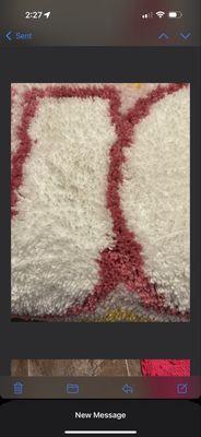 Golden Shark Construction