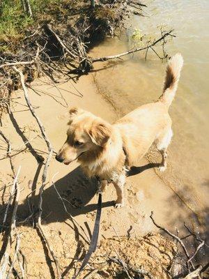 Won't You Be My Neighbor? Call my Mom to Buy or Sell a Home!