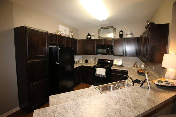 Landmark at Spring Cypress - Kitchen