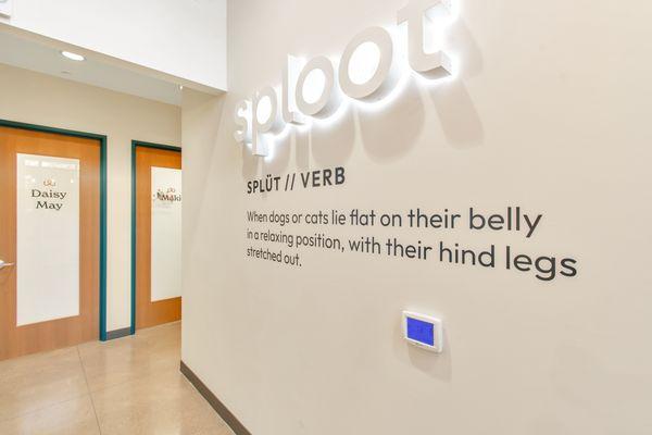 Sploot Veterinary Care-Interquest