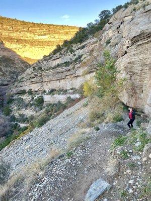 Lincoln National Forest