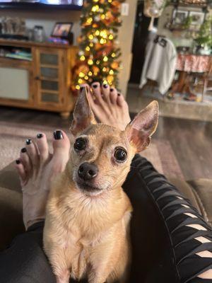 My Giovanni with my freshly painted toes