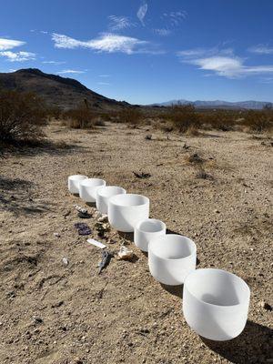 Danielle Burke Healing