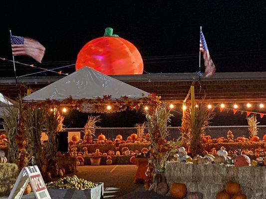 Van Groningen & Sons