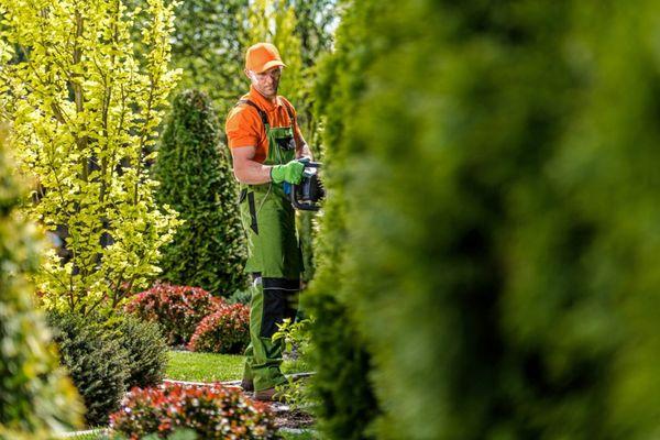 Boise Landscaping & Lawn Care