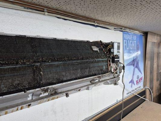 Alexa& Chris Remodeling