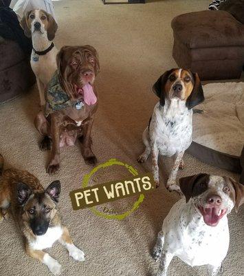 Happy Pet Wants PDX customers!