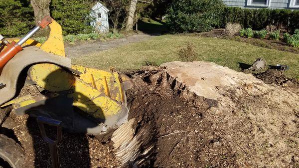 GM Stump Grinding