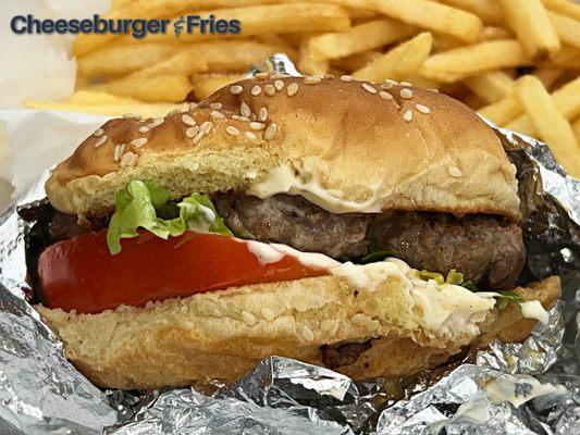 Burger was good (3 stars), but the fries were great (4 stars)!!!