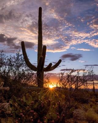 DP446 Summer Sunset. Peter Hawkinscopyright2015