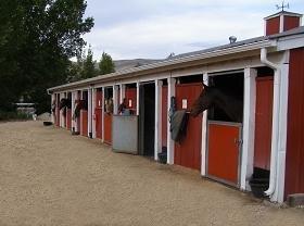 Creamayre Brook Farm