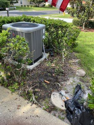 Mighty Mitch Cleaning