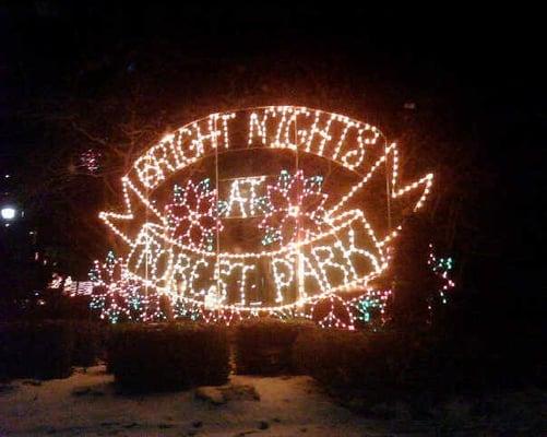 Bright Nights At Forest Park