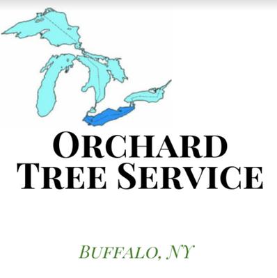 Orchard Tree Service