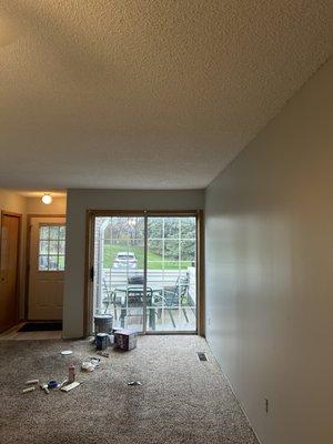 Dmgz painting and flooring