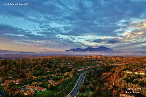 Rene Romero - Z Team - Keller Williams Realty