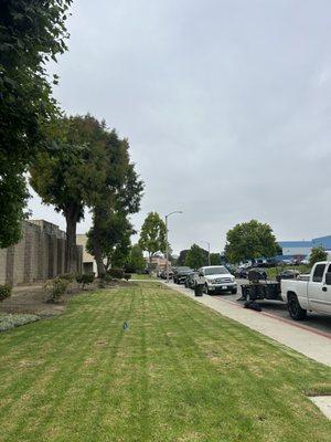 Don Javi’s Tree Service