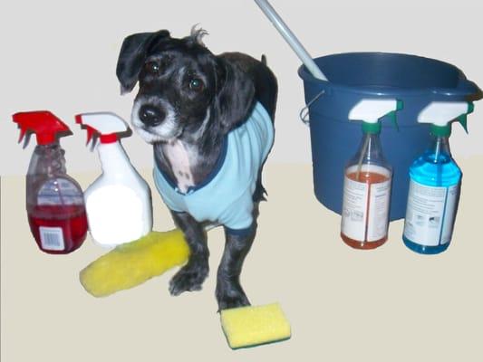 Carolyns Cleaning Service