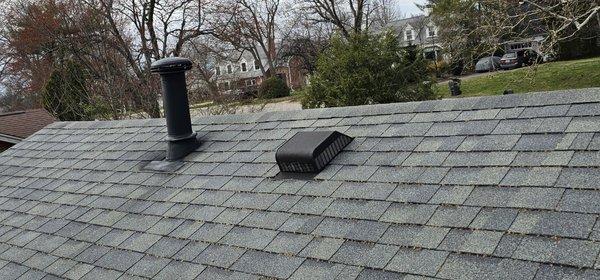 Hollywood Renovations