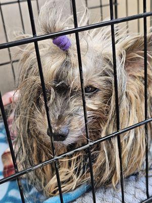 Franklin Veterinary Clinic